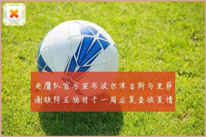 老鹰队官方宣布波尔津吉斯与里萨谢缺阵五场将于一周后复查恢复情况